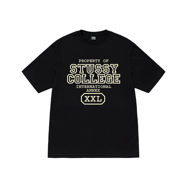 Propiedad DE Stussy Camiseta