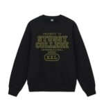Sudadera Internacional Stussy