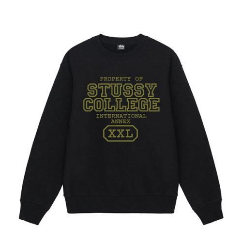 Sudadera Internacional Stussy